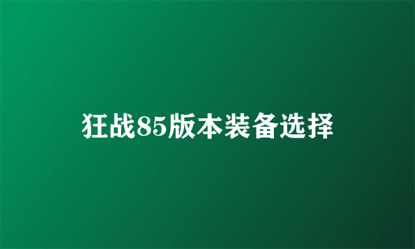 狂战85版本装备选择