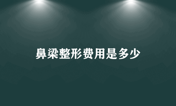 鼻梁整形费用是多少