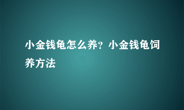 小金钱龟怎么养？小金钱龟饲养方法