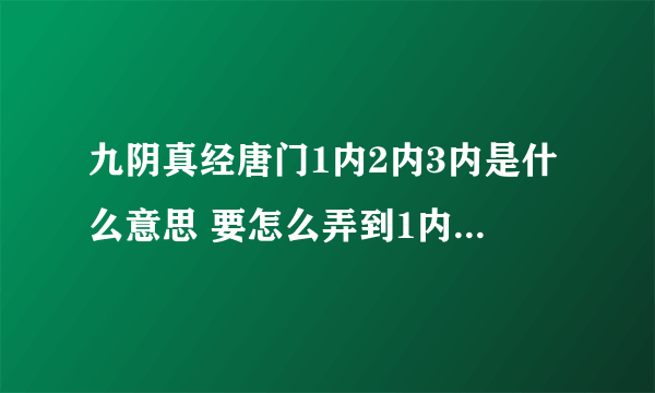 九阴真经唐门1内2内3内是什么意思 要怎么弄到1内2内3内