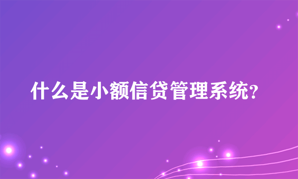 什么是小额信贷管理系统？