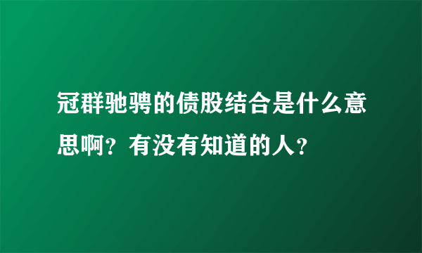 冠群驰骋的债股结合是什么意思啊？有没有知道的人？