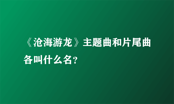 《沧海游龙》主题曲和片尾曲各叫什么名？