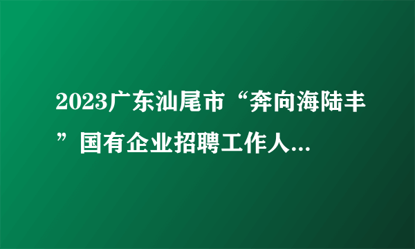 2023广东汕尾市“奔向海陆丰”国有企业招聘工作人员24人公告