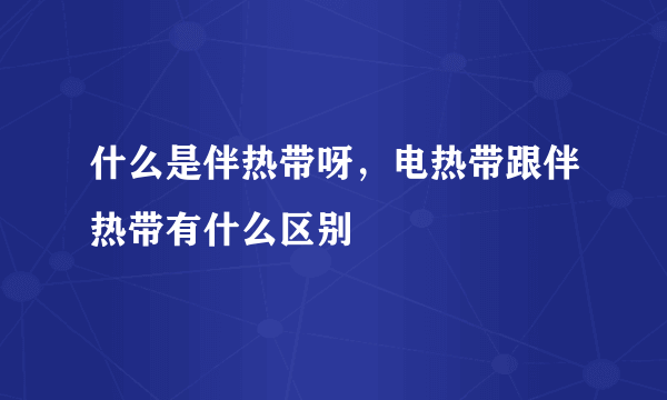 什么是伴热带呀，电热带跟伴热带有什么区别