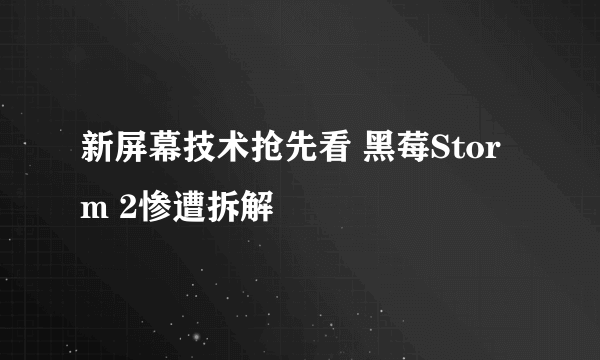 新屏幕技术抢先看 黑莓Storm 2惨遭拆解