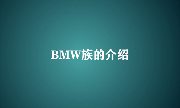 BMW族的介绍