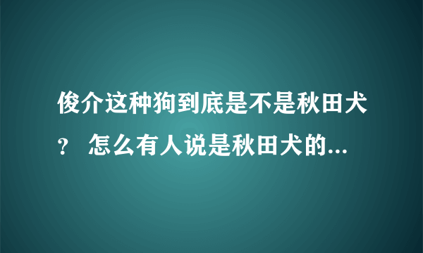 俊介这种狗到底是不是秋田犬？ 怎么有人说是秋田犬的幼犬。 我怎么看不像~