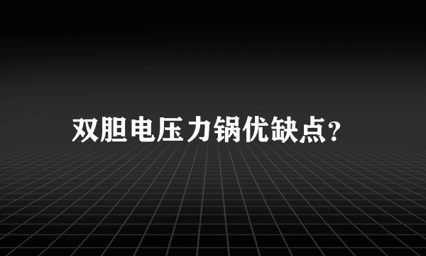 双胆电压力锅优缺点？