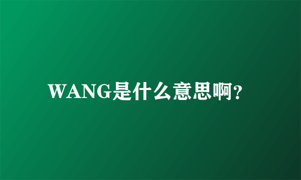 WANG是什么意思啊？