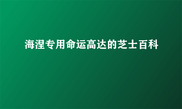 海涅专用命运高达的芝士百科