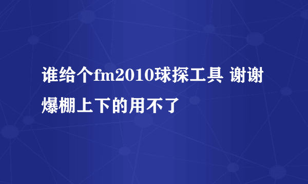 谁给个fm2010球探工具 谢谢 爆棚上下的用不了