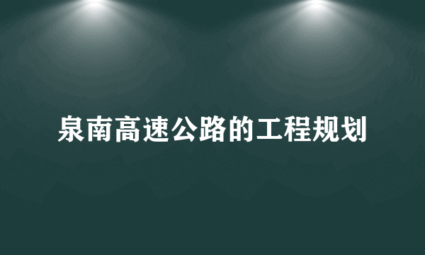 泉南高速公路的工程规划