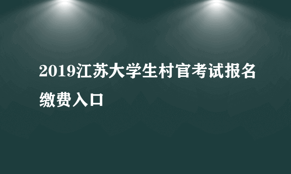 2019江苏大学生村官考试报名缴费入口