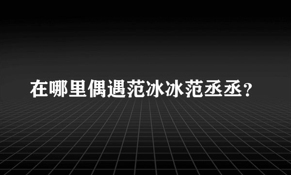 在哪里偶遇范冰冰范丞丞？