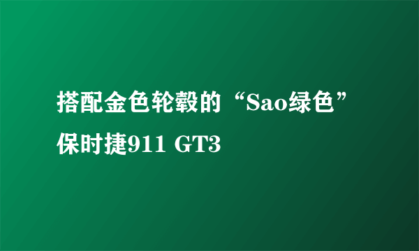 搭配金色轮毂的“Sao绿色”保时捷911 GT3