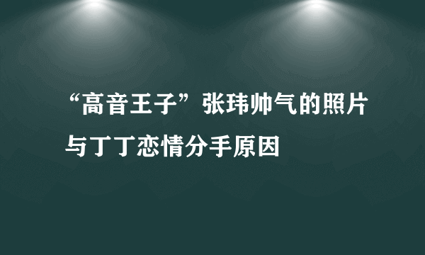 “高音王子”张玮帅气的照片 与丁丁恋情分手原因