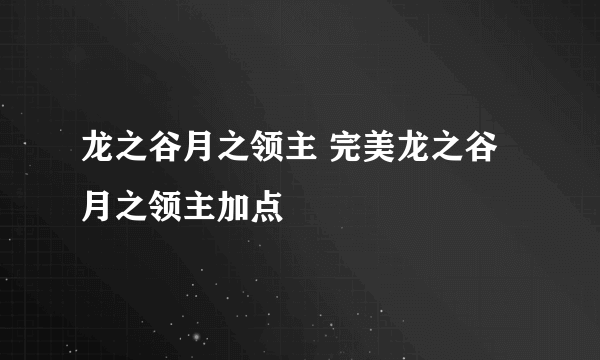 龙之谷月之领主 完美龙之谷月之领主加点