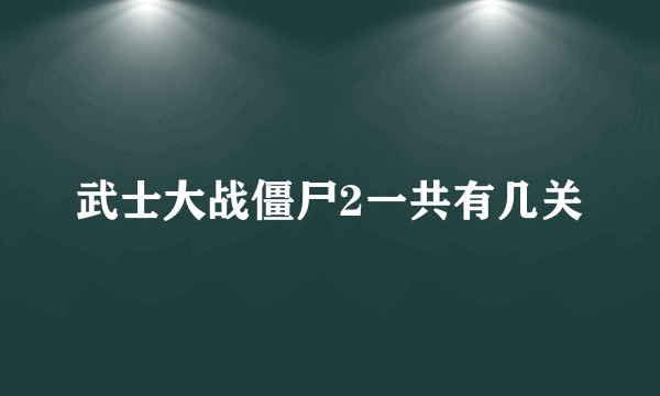 武士大战僵尸2一共有几关