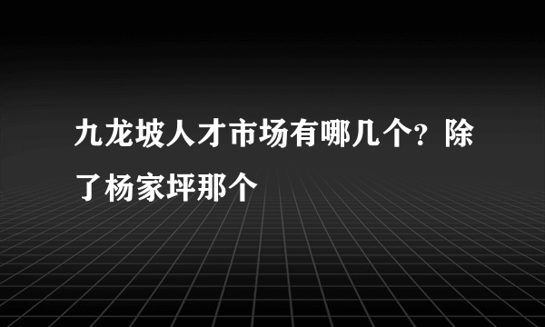 九龙坡人才市场有哪几个？除了杨家坪那个