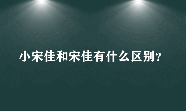 小宋佳和宋佳有什么区别？