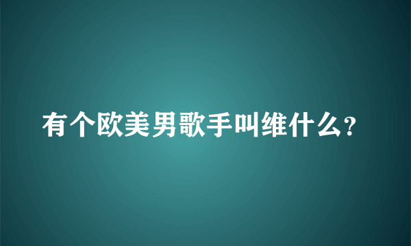 有个欧美男歌手叫维什么？