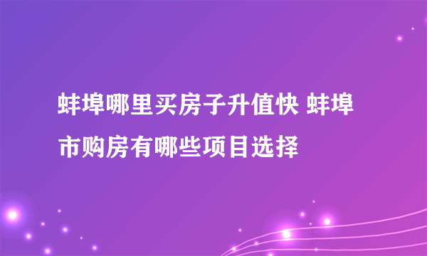 蚌埠哪里买房子升值快 蚌埠市购房有哪些项目选择