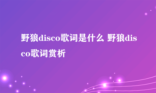 野狼disco歌词是什么 野狼disco歌词赏析