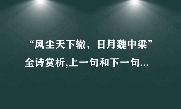 “风尘天下辙，日月魏中梁”全诗赏析,上一句和下一句-出自晁公溯《师安抚生日》-飞外