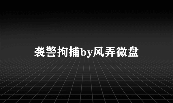 袭警拘捕by风弄微盘