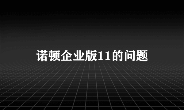 诺顿企业版11的问题