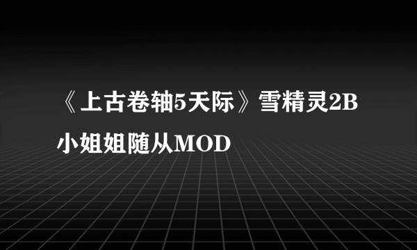 《上古卷轴5天际》雪精灵2B小姐姐随从MOD