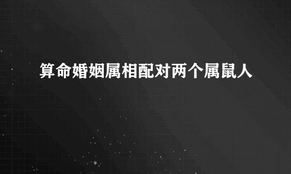 算命婚姻属相配对两个属鼠人