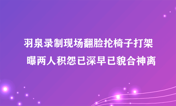 羽泉录制现场翻脸抡椅子打架 曝两人积怨已深早已貌合神离