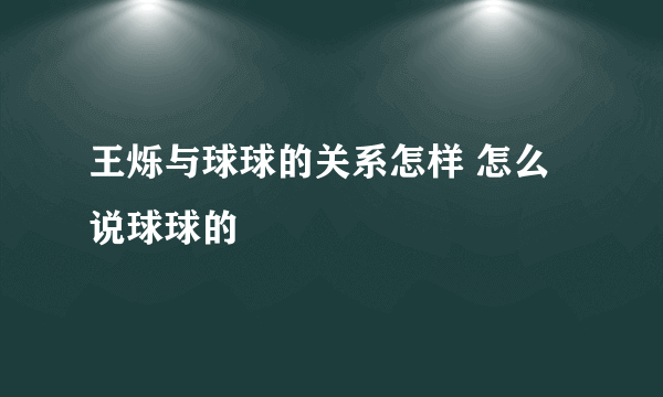 王烁与球球的关系怎样 怎么说球球的