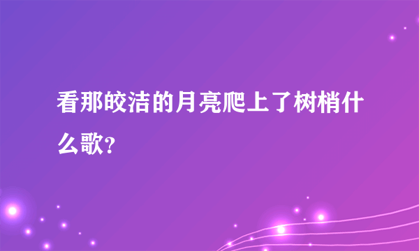 看那皎洁的月亮爬上了树梢什么歌？