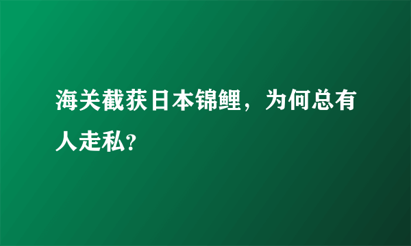 海关截获日本锦鲤，为何总有人走私？