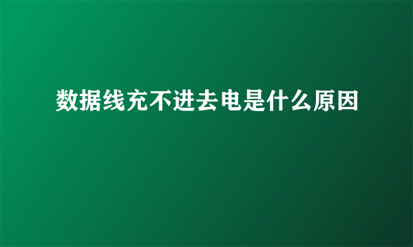 数据线充不进去电是什么原因