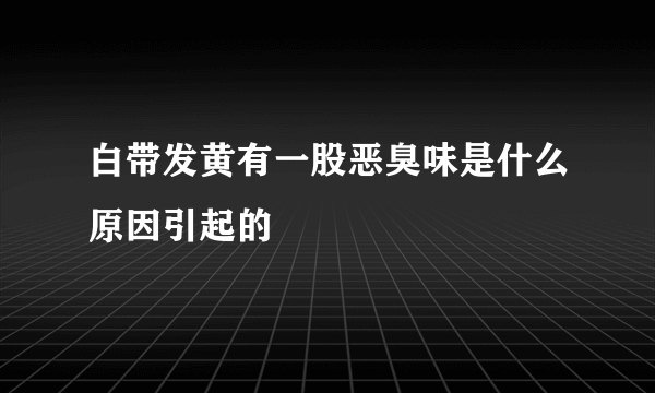 白带发黄有一股恶臭味是什么原因引起的