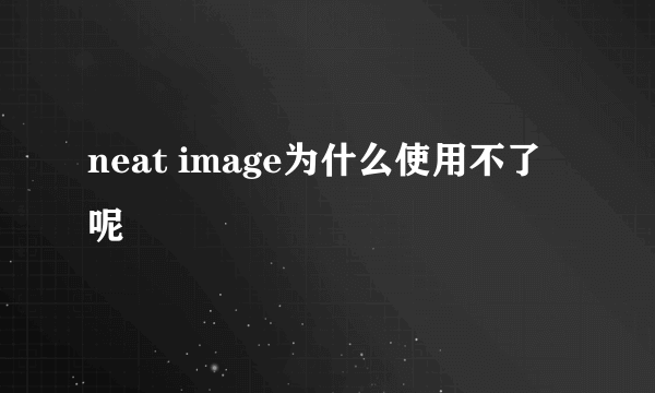 neat image为什么使用不了呢