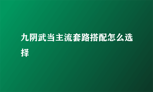 九阴武当主流套路搭配怎么选择