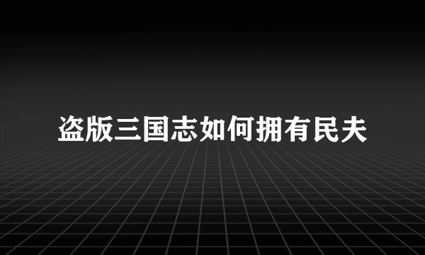 盗版三国志如何拥有民夫