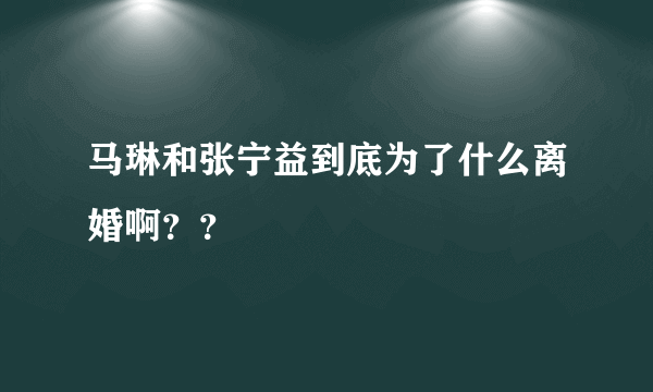 马琳和张宁益到底为了什么离婚啊？？