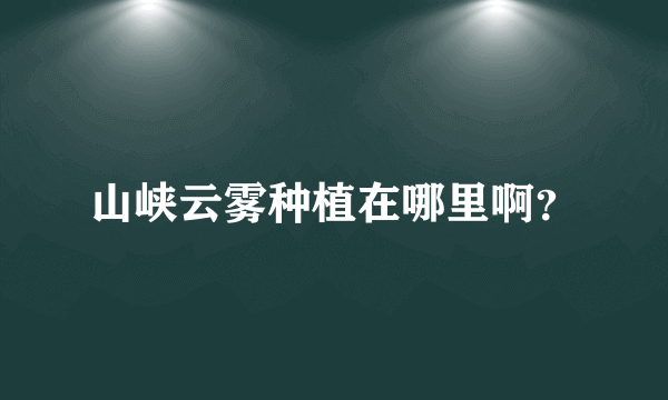 山峡云雾种植在哪里啊？