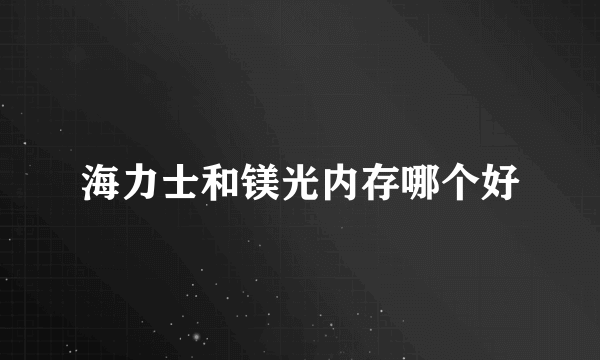 海力士和镁光内存哪个好