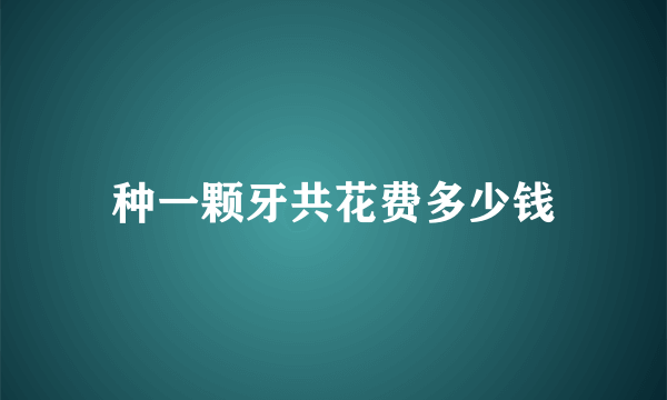 种一颗牙共花费多少钱