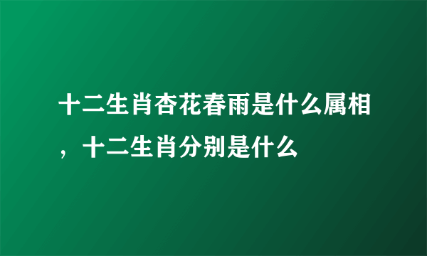 十二生肖杏花春雨是什么属相，十二生肖分别是什么