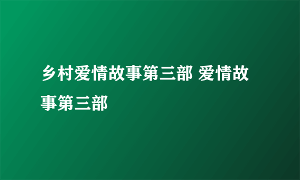 乡村爱情故事第三部 爱情故事第三部