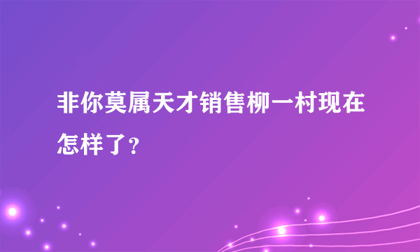 非你莫属天才销售柳一村现在怎样了？