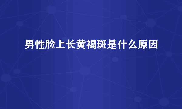 男性脸上长黄褐斑是什么原因